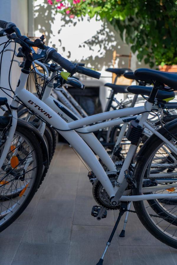 Cal Xot Pensionat El Poble Nou del Delta Eksteriør billede